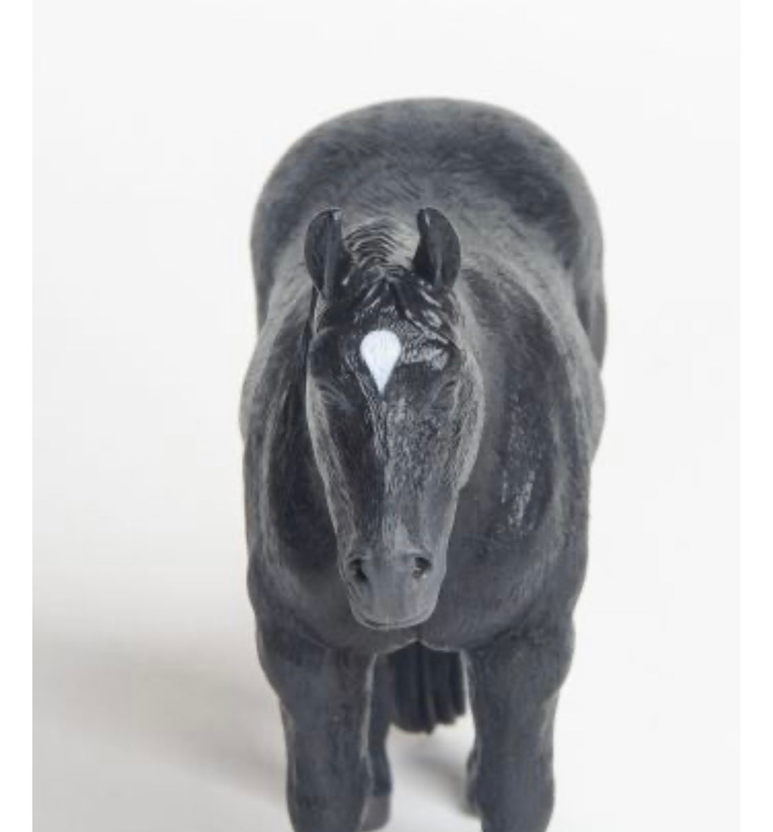 Quarter Horse - Black