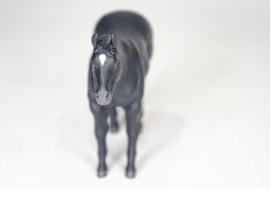 Quarter Horse - Black