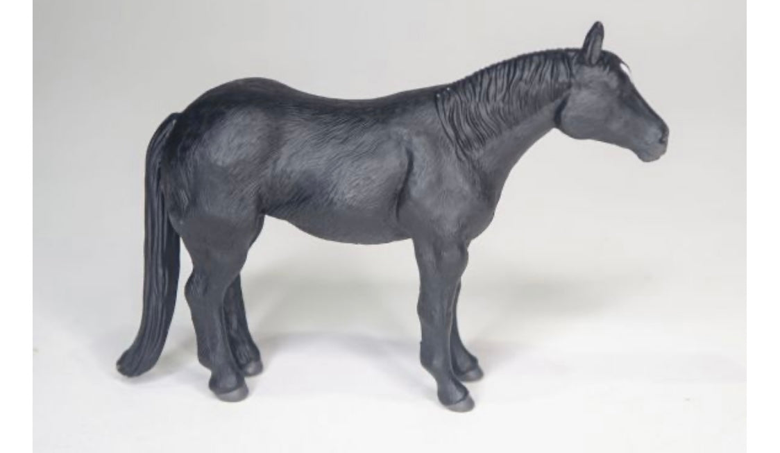 Quarter Horse - Black