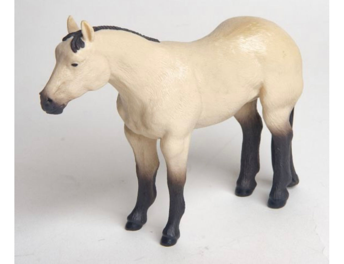 Quarter Horse - Buckskin