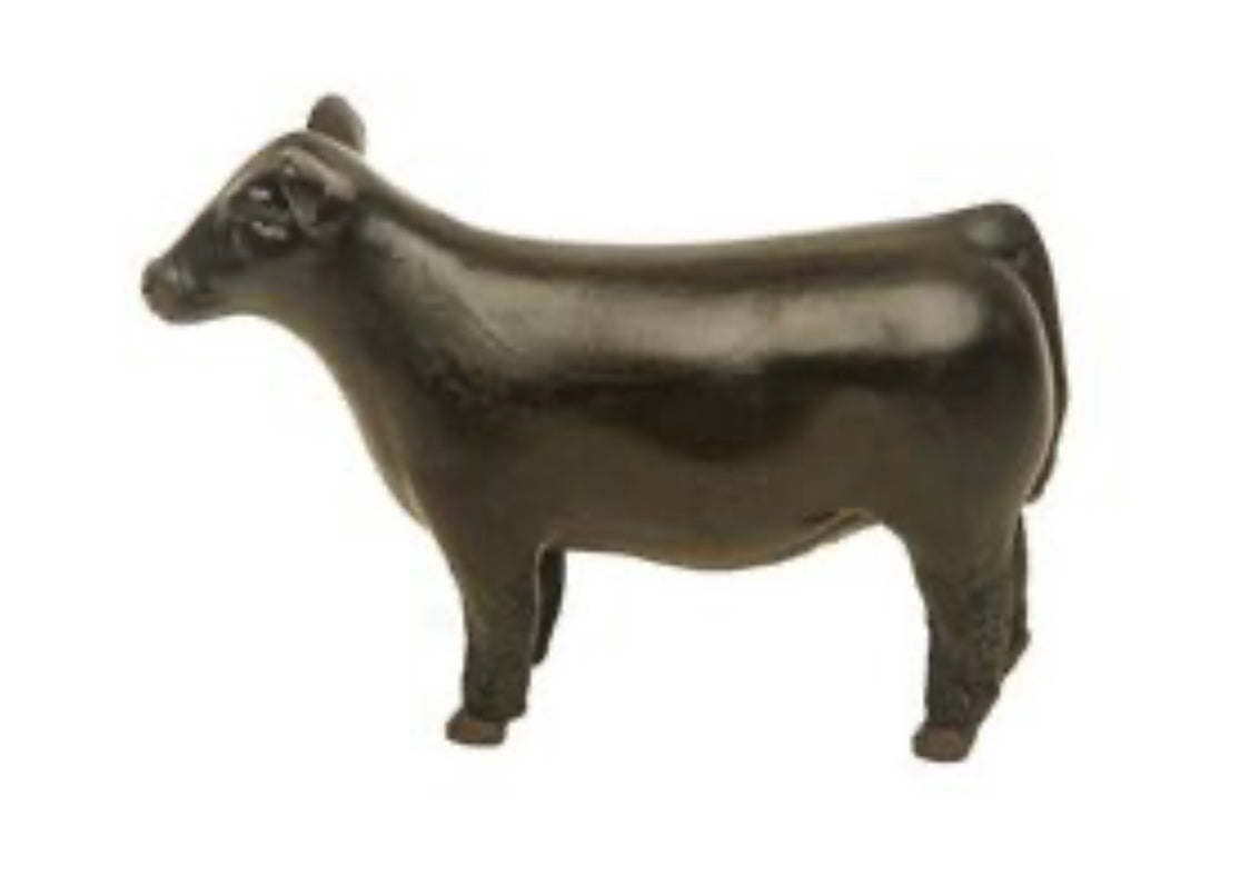Crossbred Steer
