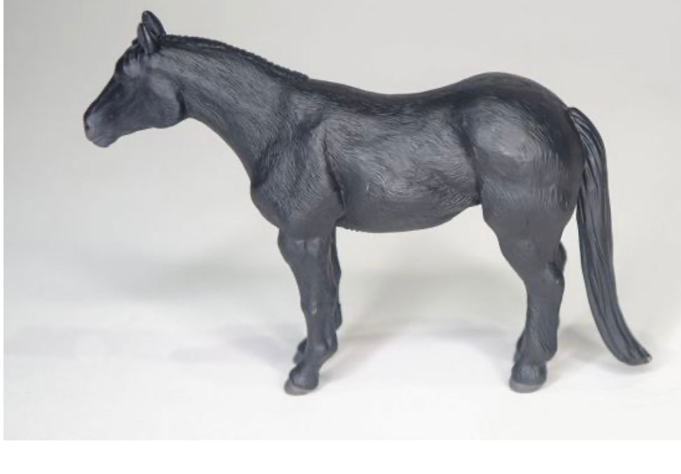 Quarter Horse - Black