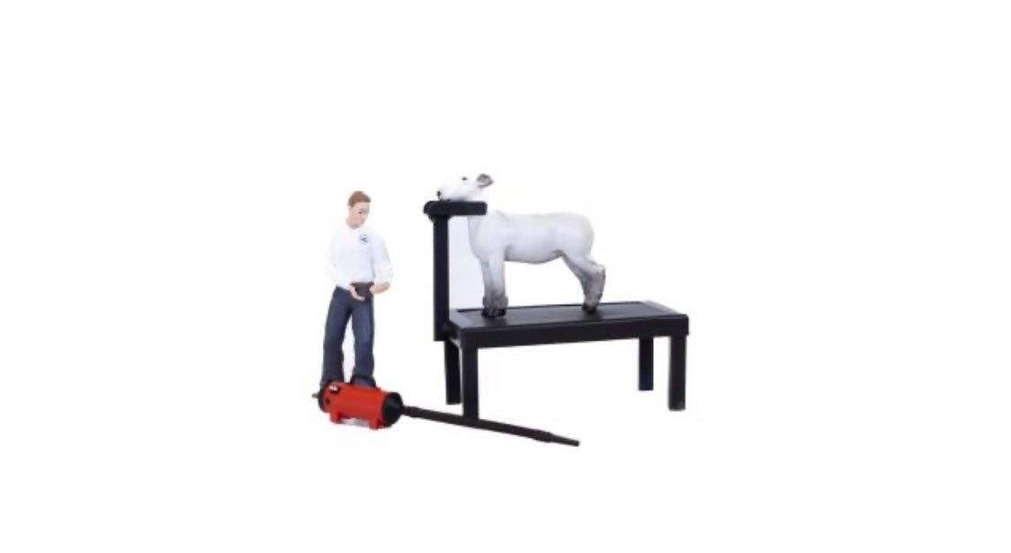 Lamb Showmen (boy only)