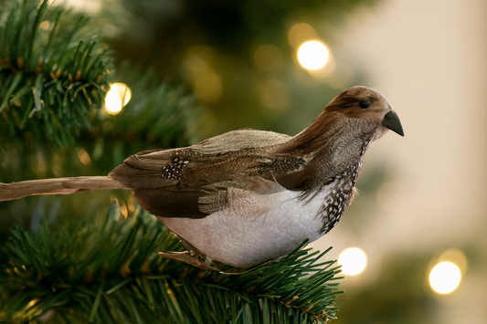 Partridge
