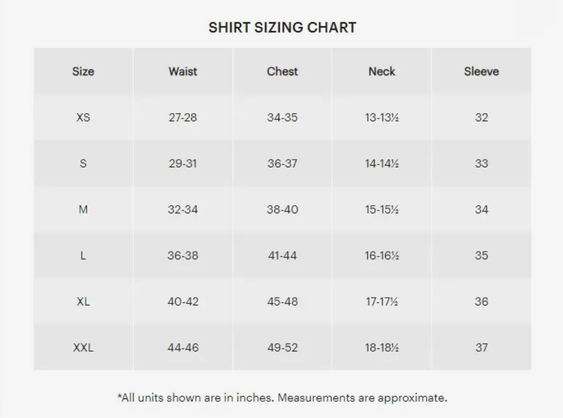 Elijah Standard Fit Blue Dress Shirt