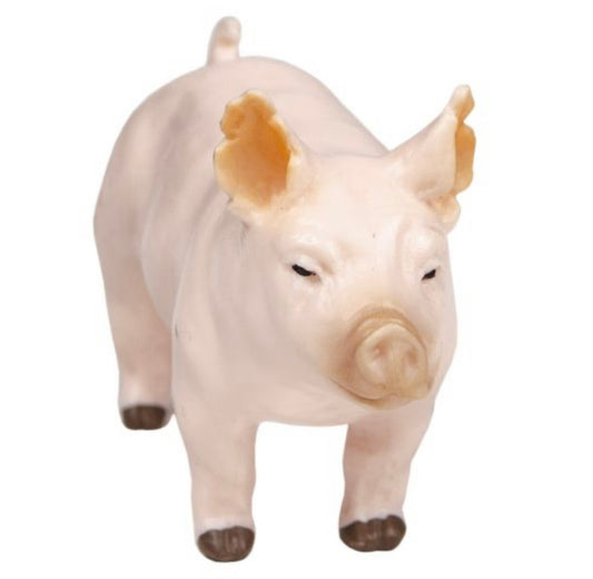Yorkshire Show Pig
