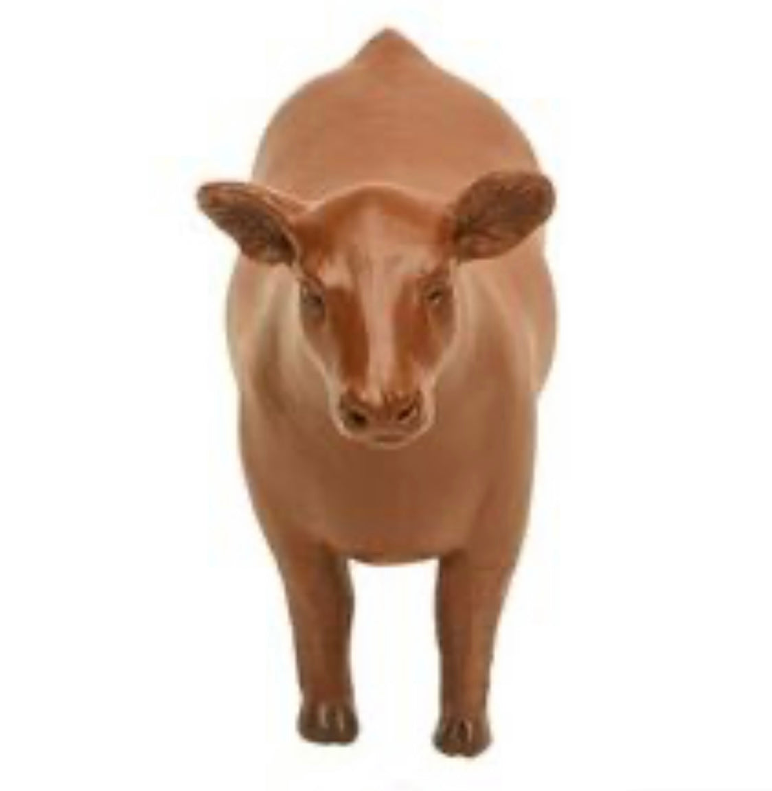 Red Show Steer