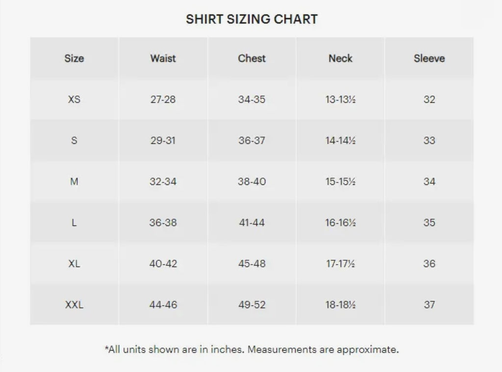 Elijah Standard Lit Fit Blue Dress Shirt by Alynn