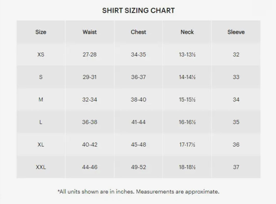 Elijah Standard Lit Fit Blue Dress Shirt by Alynn