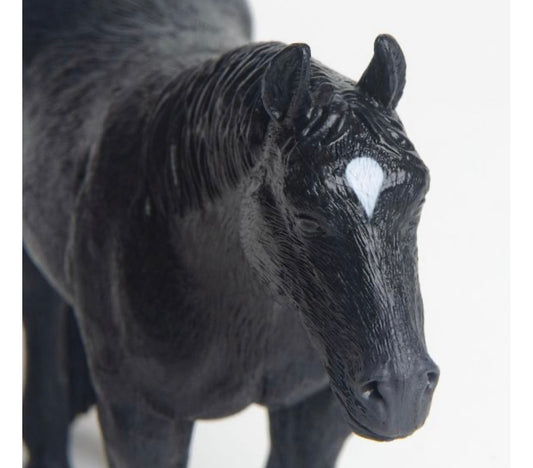 Quarter Horse - Black