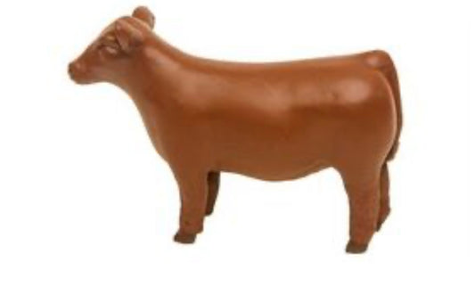 Red Show Steer