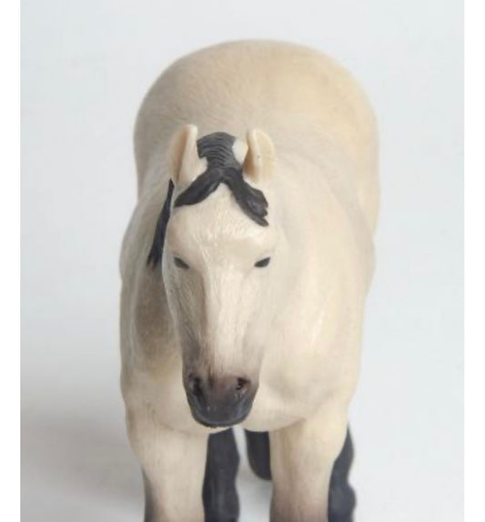 Quarter Horse - Buckskin