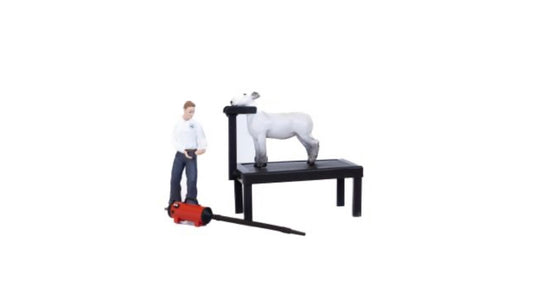Lamb Showmen (boy only)