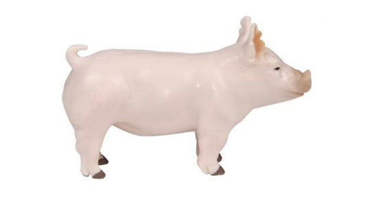 Yorkshire Show Pig