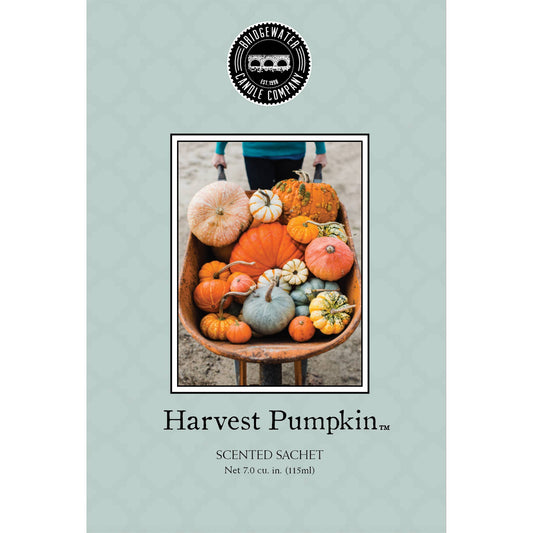Harvest Pumpkin Sachet 9 Pack | Fall Gift